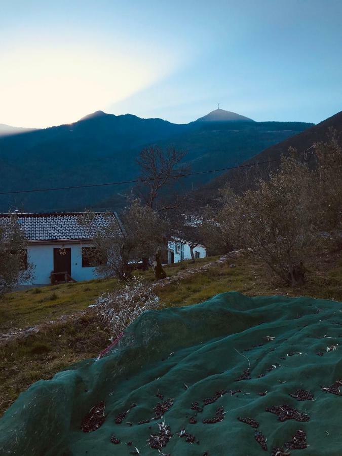 "Casa Da Russa" Mountain Experience Guest House Вила Реал Екстериор снимка