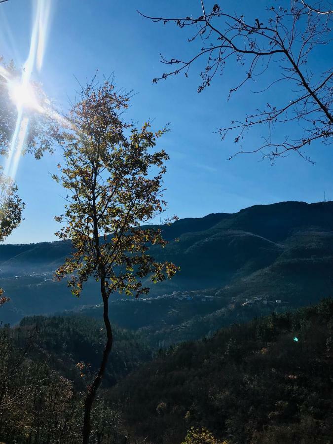 "Casa Da Russa" Mountain Experience Guest House Вила Реал Екстериор снимка